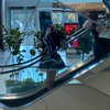 mittzaa_ Altpins Profile Picture