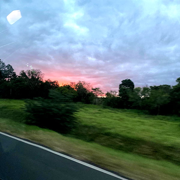 mittzaa_ instagram image archive image