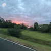 mittzaa_ Altpins Profile Picture