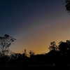 mittzaa_ Altpins Profile Picture
