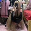 mittzaa_ Altpins Profile Picture