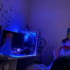 mittzaa_ Altpins Profile Picture