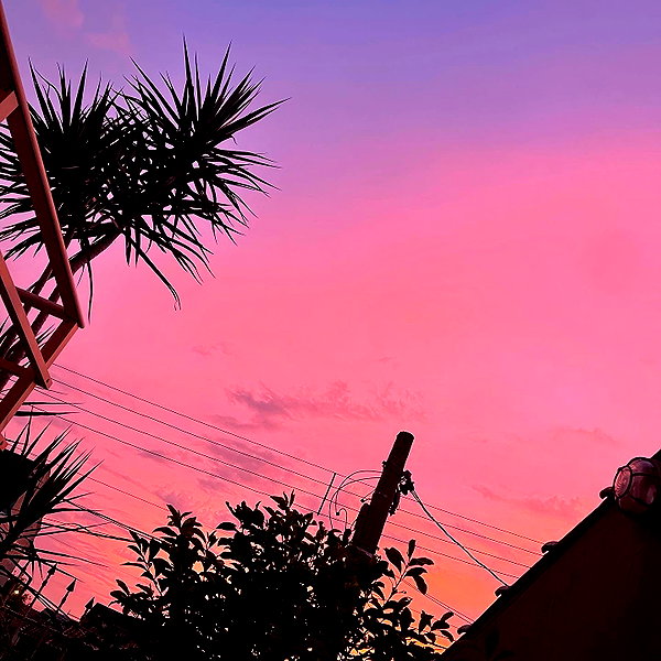 mittzaa_ instagram image archive image