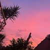 mittzaa_ Altpins Profile Picture