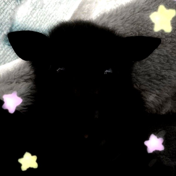mittzaa_ instagram image archive image