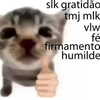 mittzaa_ Altpins Profile Picture