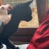 mittzaa_ Altpins Profile Picture