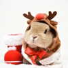 mittzaa_ Altpins Profile Picture