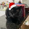 mittzaa_ Altpins Profile Picture