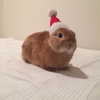 mittzaa_ Altpins Profile Picture