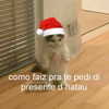 mittzaa_ Altpins Profile Picture