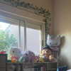 mittzaa_ Altpins Profile Picture