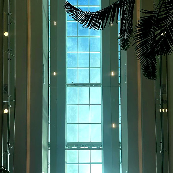 mittzaa_ instagram image archive image