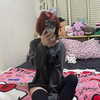mittzaa_ Altpins Profile Picture