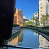 mittzaa_ Altpins Profile Picture