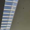 mittzaa_ Altpins Profile Picture