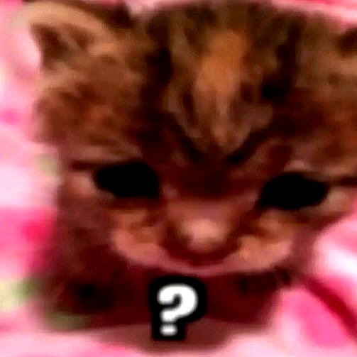mittzaa_ instagram image archive image