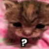 mittzaa_ Altpins Profile Picture