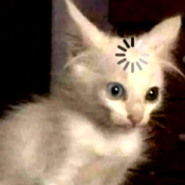 mittzaa_ instagram image archive image