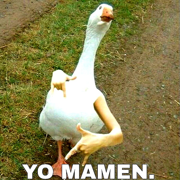 mittzaa_ instagram image archive image
