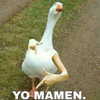 mittzaa_ Altpins Profile Picture