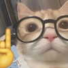 mittzaa_ Altpins Profile Picture