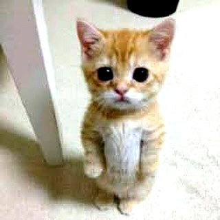 mittzaa_ instagram image archive image