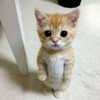 mittzaa_ Altpins Profile Picture