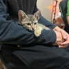 mittzaa_ Altpins Profile Picture