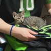 mittzaa_ Altpins Profile Picture