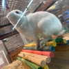 mittzaa_ Altpins Profile Picture