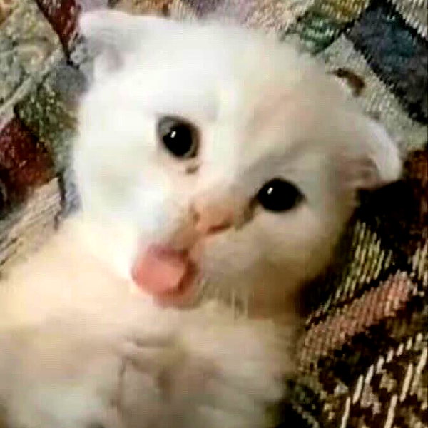 mittzaa_ instagram image archive image