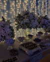 mittzaa_ Altpins Profile Picture