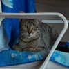 mittzaa_ Altpins Profile Picture