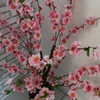 mittzaa_ Altpins Profile Picture