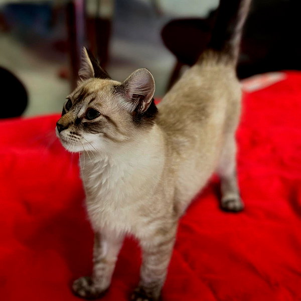 mittzaa_ instagram image archive image