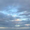 mityweee_ Altpins Profile Picture