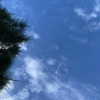 mityweee_ Altpins Profile Picture