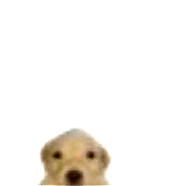 mityweee_ instagram image archive image
