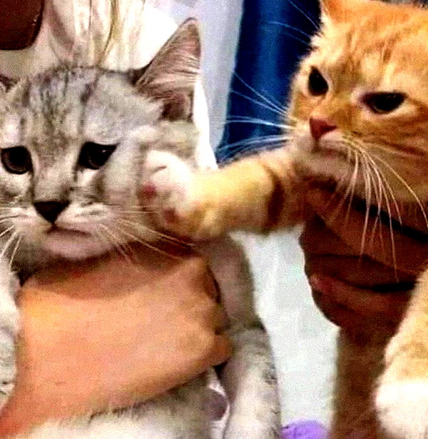 mityweee_ instagram image archive image