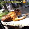 mityweee_ Altpins Profile Picture