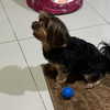 mitzawe Altpins Profile Picture