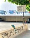 miya_sahar Altpins Profile Picture