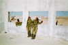 miya_sahar Altpins Profile Picture