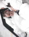 mizer_nabi Altpins Profile Picture