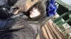 mizer_nabi Altpins Profile Picture