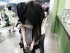 mizer_nabi Altpins Profile Picture