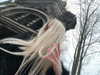 mlllkvv Altpins Profile Picture
