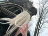 mlllkvv Altpins Profile Picture