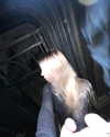 mlllkvv Altpins Profile Picture